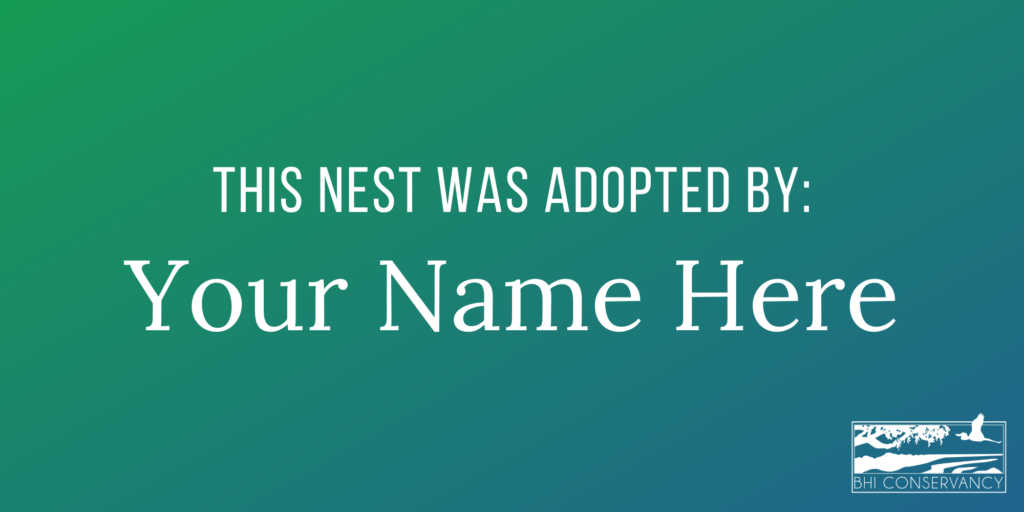 Copy of Adopt a Nest Experience Signs