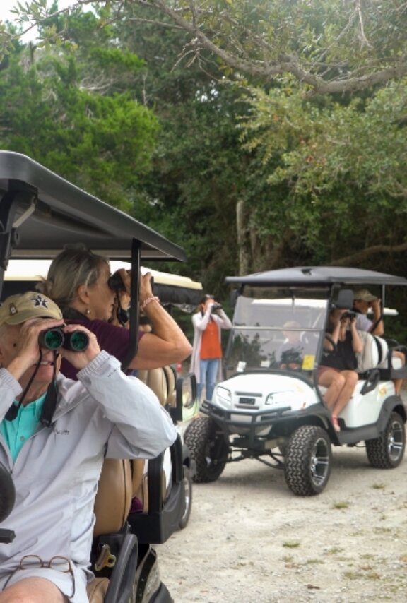 tourists riding golf carts at bald head island